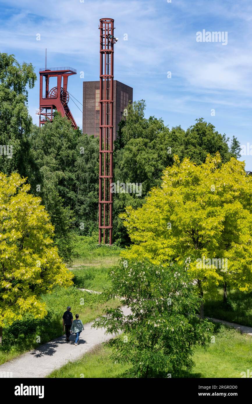 Site du patrimoine mondial de la mine de charbon de Zollverein à Essen, parc Zollverein sur le site de l'ancienne voie ferrée de la mine, puits de fosse 1/2/8, NRW, allemand Banque D'Images