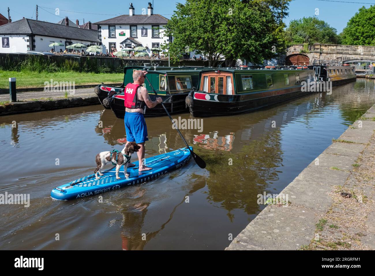 Un homme pagayant sur un stand up paddle board avec son chien sur le canal Llangollen à Trevor Basin, Clwyd, au nord du pays de Galles Banque D'Images