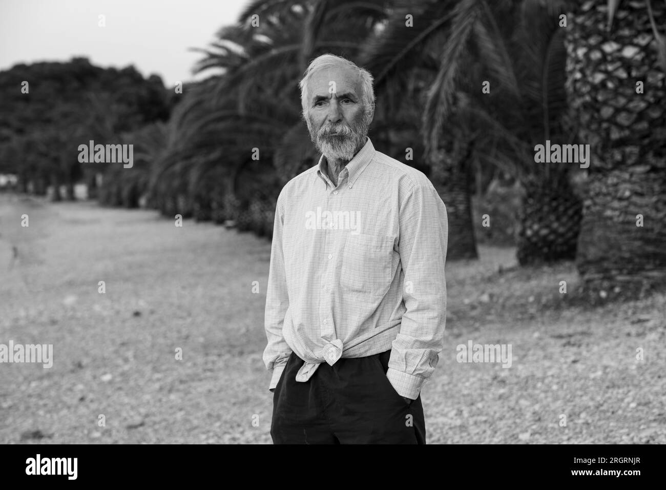 Un vieil homme sur la plage dans une chemise blanche et un pantalon foncé. Un homme âgé avec une barbe marche seul sur la plage au coucher du soleil. Portrait d'un poil gris solitaire Banque D'Images