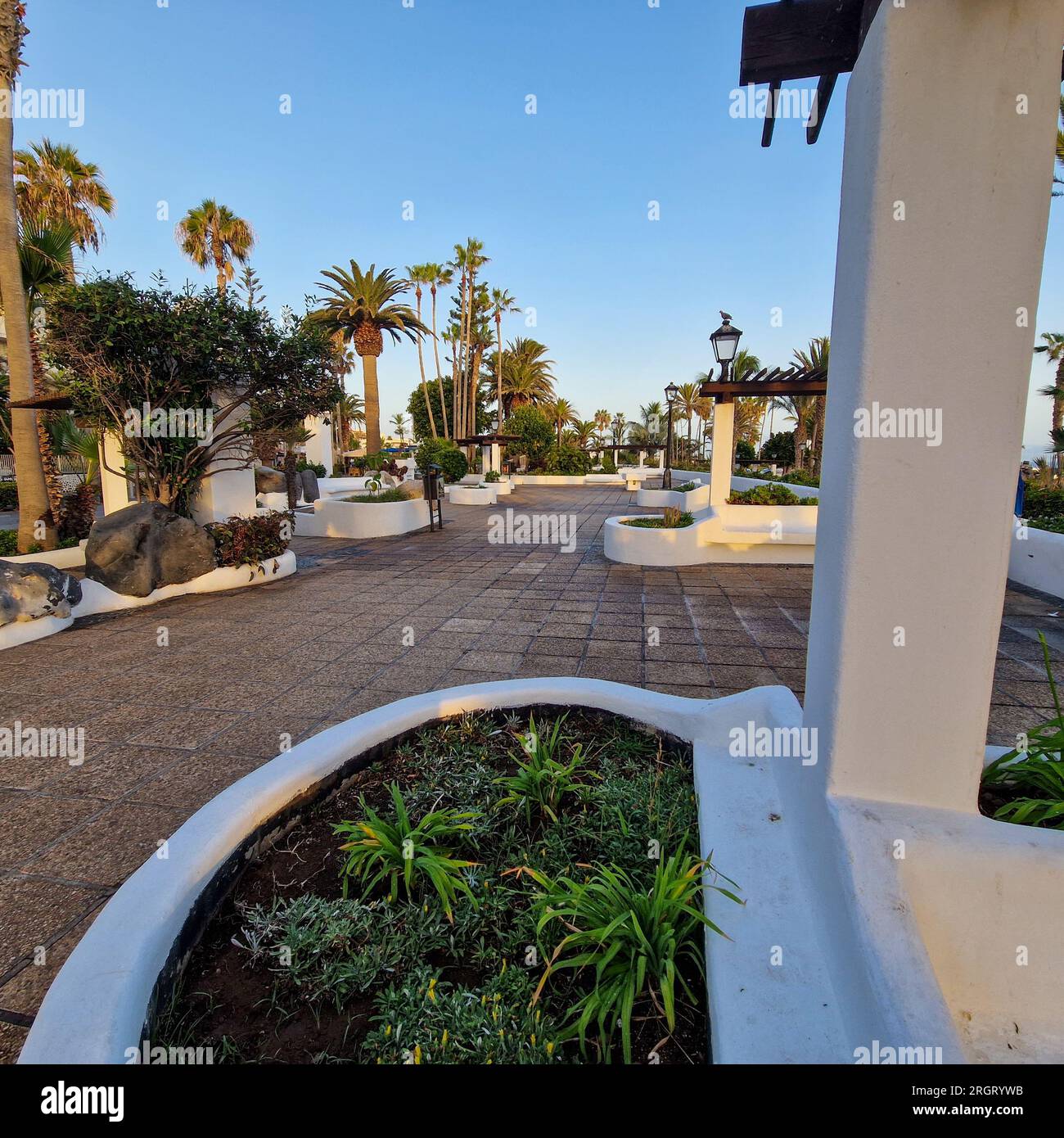 Au lever du jour, Puerto de la Cruz se réveille à l'étreinte douce du soleil du matin. La ville, toujours enveloppée dans les restes de la nuit, commence à scintiller Banque D'Images