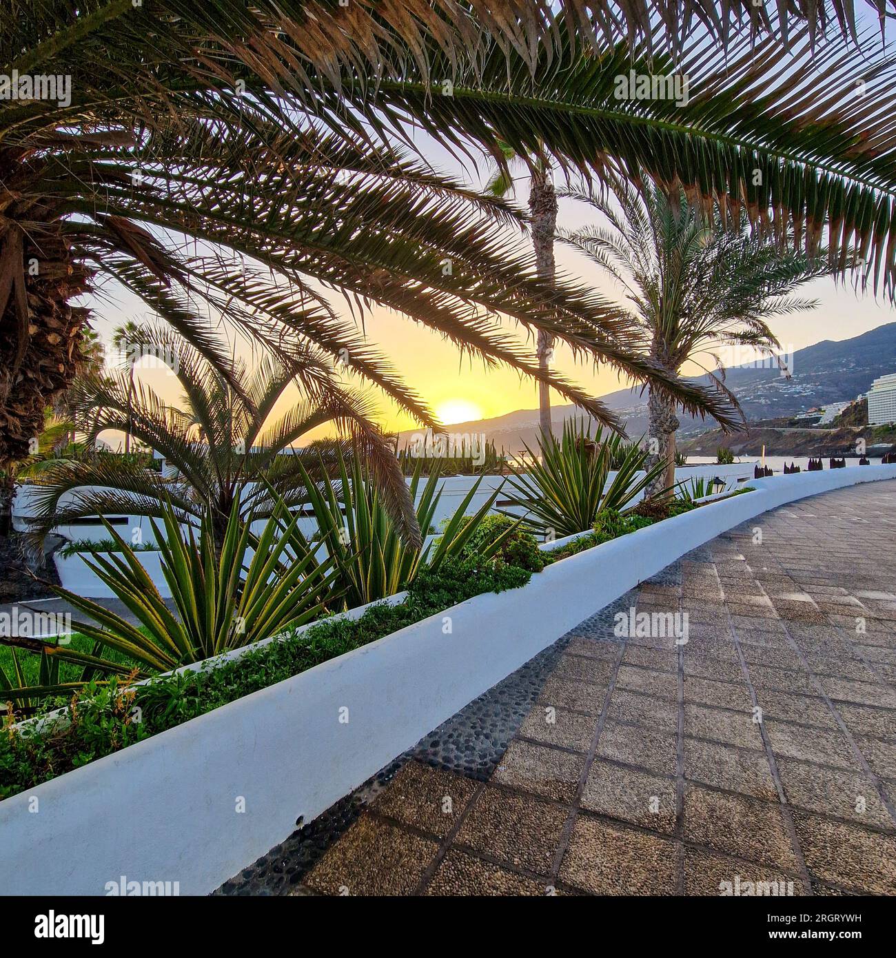 Au lever du jour, Puerto de la Cruz se réveille à l'étreinte douce du soleil du matin. La ville, toujours enveloppée dans les restes de la nuit, commence à scintiller Banque D'Images