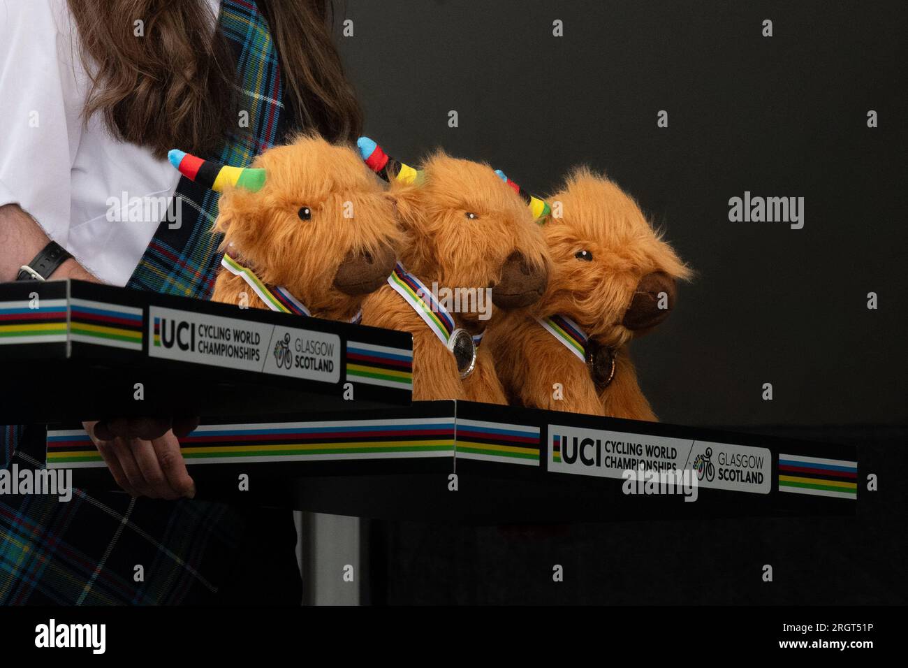 Bovins de vache des hautes terres UCI présentés aux vainqueurs du podium aux Championnats du monde de cyclisme UCI 2023, Écosse, Royaume-Uni Banque D'Images