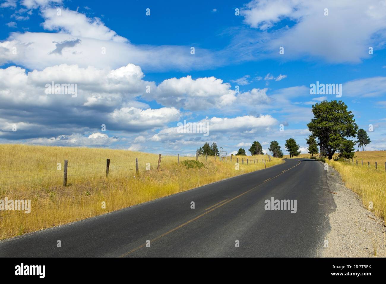 Une route mène à travers les terres agricoles de mi-été dans le nord de l'Idaho. Banque D'Images