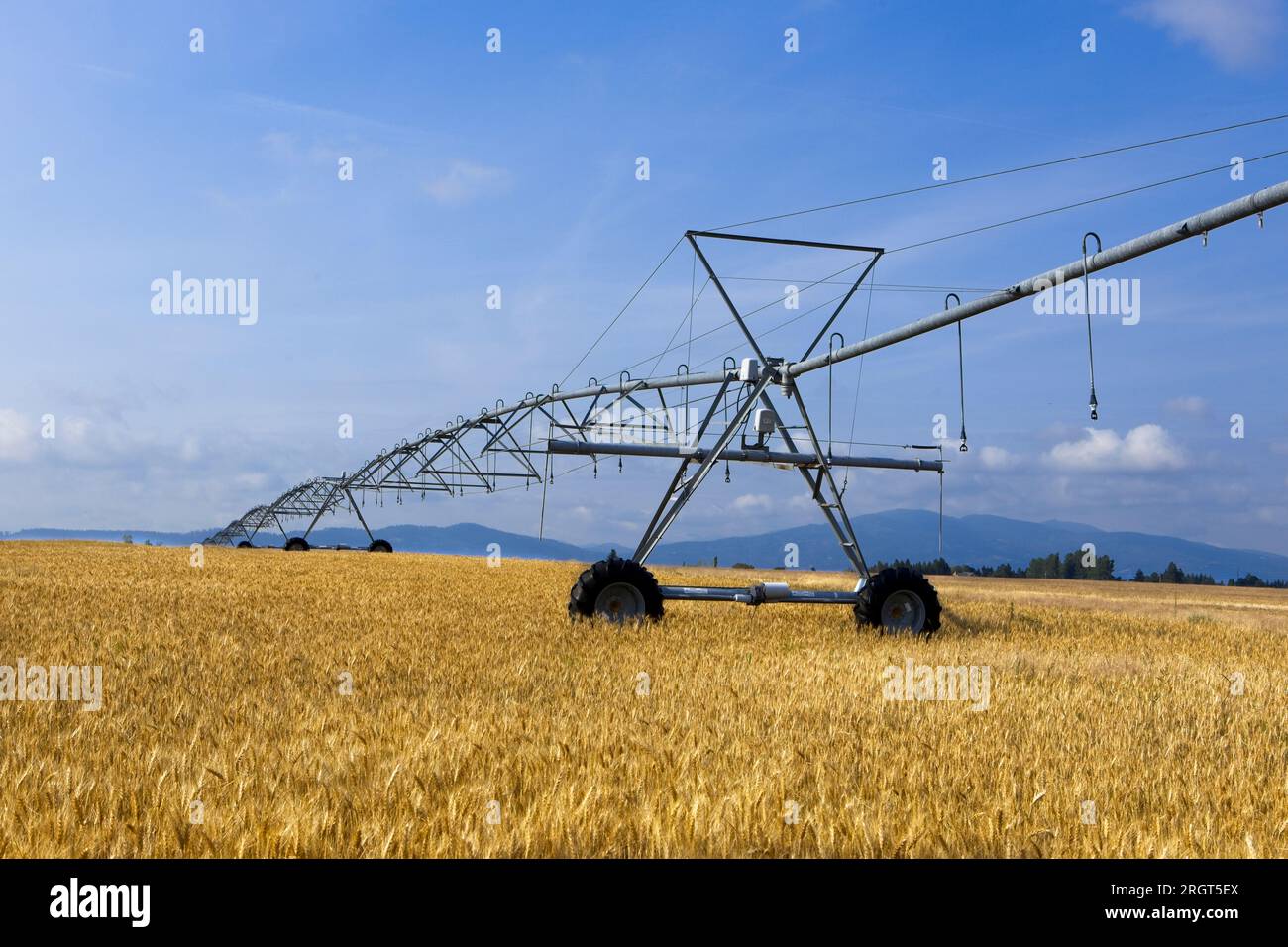 Un grand système de tuyaux d'irrigation se trouve dans un champ agricole déjà récolté près de Rathdrum, Idaho. Banque D'Images