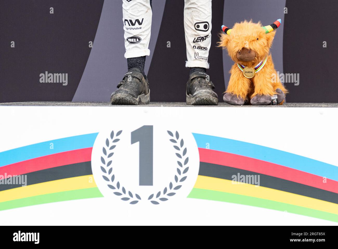 Bovins de vache des hautes terres UCI présentés aux vainqueurs du podium aux Championnats du monde de cyclisme UCI 2023, Écosse, Royaume-Uni Banque D'Images