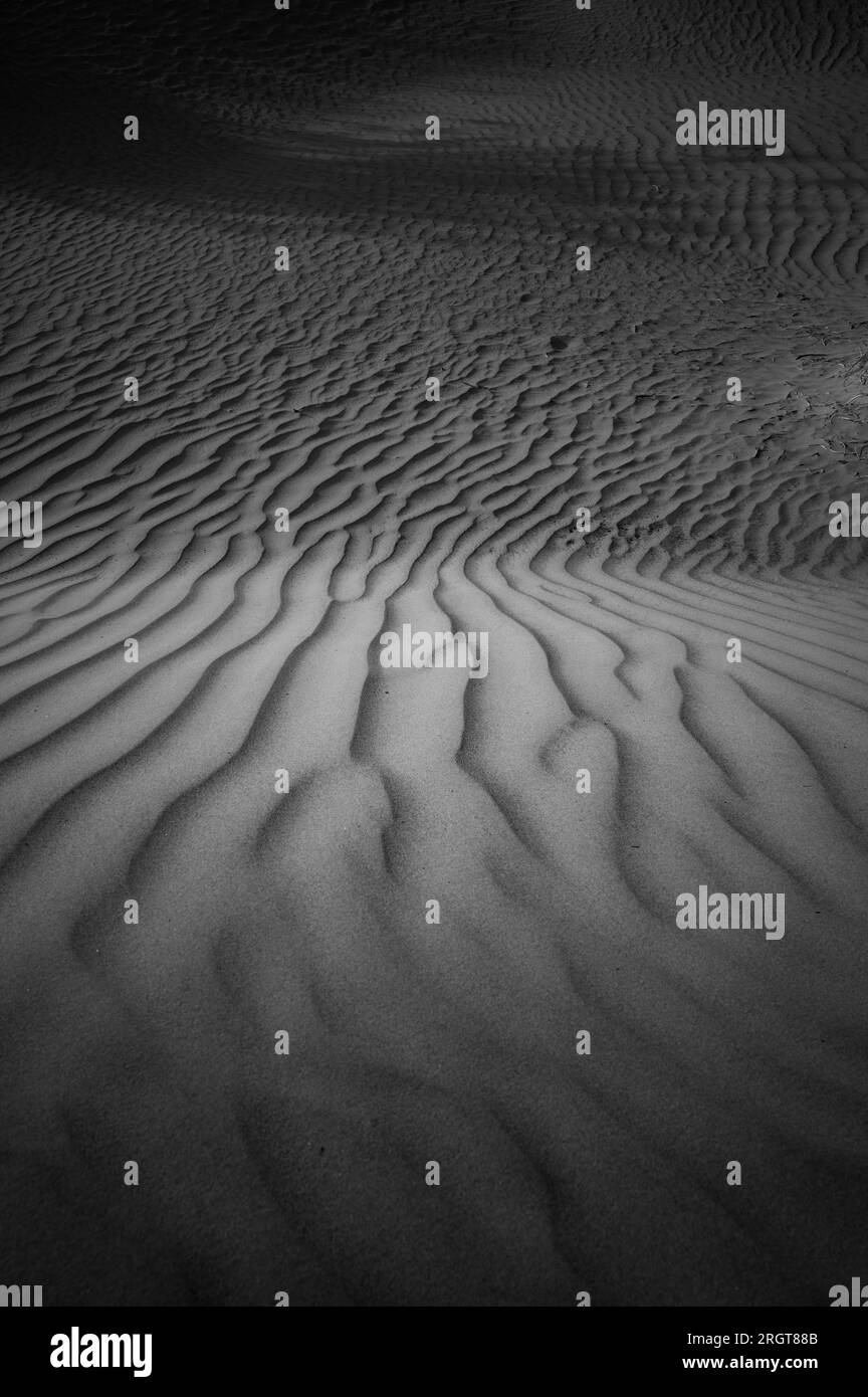 Fin d'après-midi à Mesquite Flat Sand Dunes, Death Valley, Californie, USA Banque D'Images