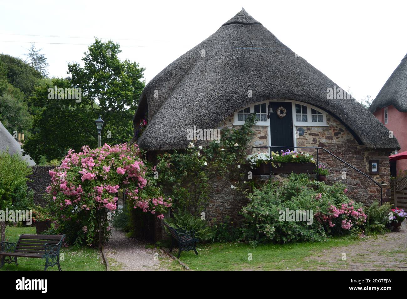 Chalet traditionnel anglais au chaume avec des roses grimpant sur les murs à Cockington, Torquay, Devon, juillet 2023 Banque D'Images