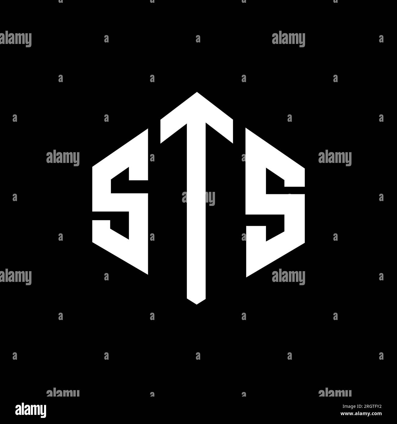 Logo de lettre STS avec forme de polygone. Logo en forme de polygone et de cube STS. Modèle de logo vectoriel STS hexagone couleurs blanc et noir. STS monogr Illustration de Vecteur