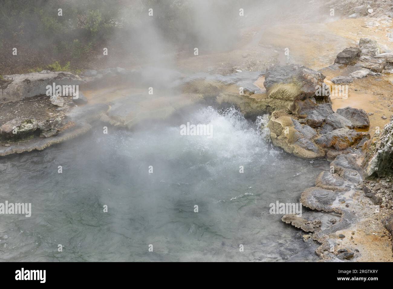 Fumerolles géothermiques à Furnas Hot Springs, sur l'île de Sao Miguel aux Açores, Portugal Banque D'Images