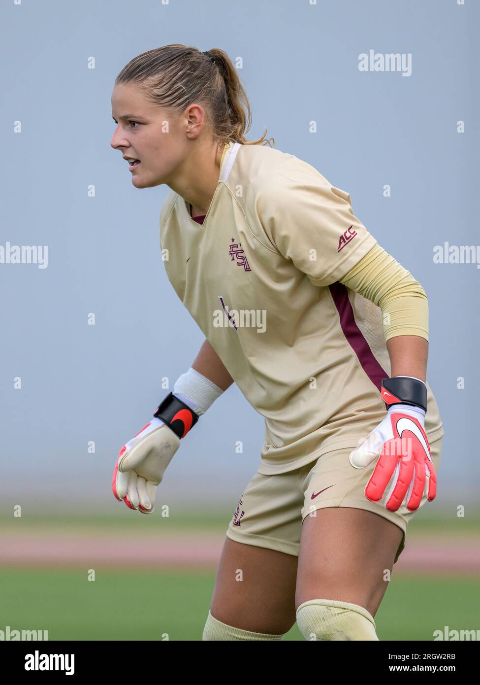 11 août 2023 - Orlando, FL, États-Unis : la gardienne des Séminoles Cristina Roque (1) lors du match de football féminin des Florida State Seminoles et des UCF Knights. FSU a battu UCF 4-3 au UCF Track and Soccer Complex à Orlando, FL Romeo T Guzman/CSM. Crédit : CAL Sport Media/Alamy Live News Banque D'Images