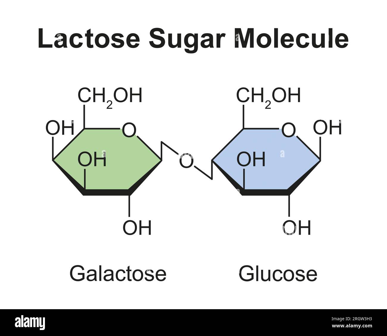 Molécule de sucre lactose, illustration Banque D'Images