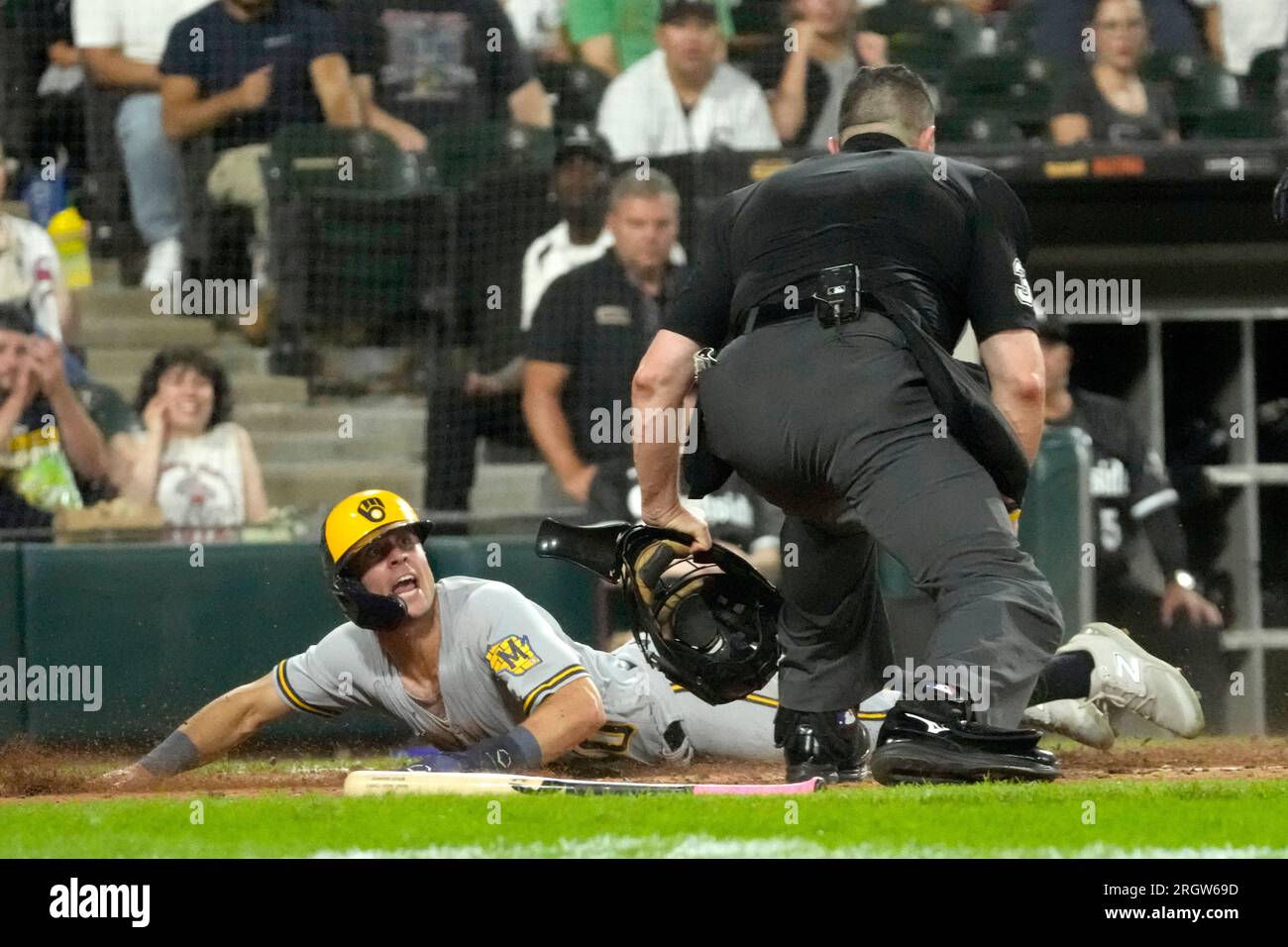 Milwaukee Brewers' Sal Frelick looks up at home plate umpire Carlos Torres after scoring on a two-run single by Willy Adames, off a pitch from Chicago White Sox starting pitcher Michael Kopech during the fifth inning of a baseball game Friday, Aug. 11, 2023, in Chicago. (AP Photo/Charles Rex Arbogast) Banque D'Images