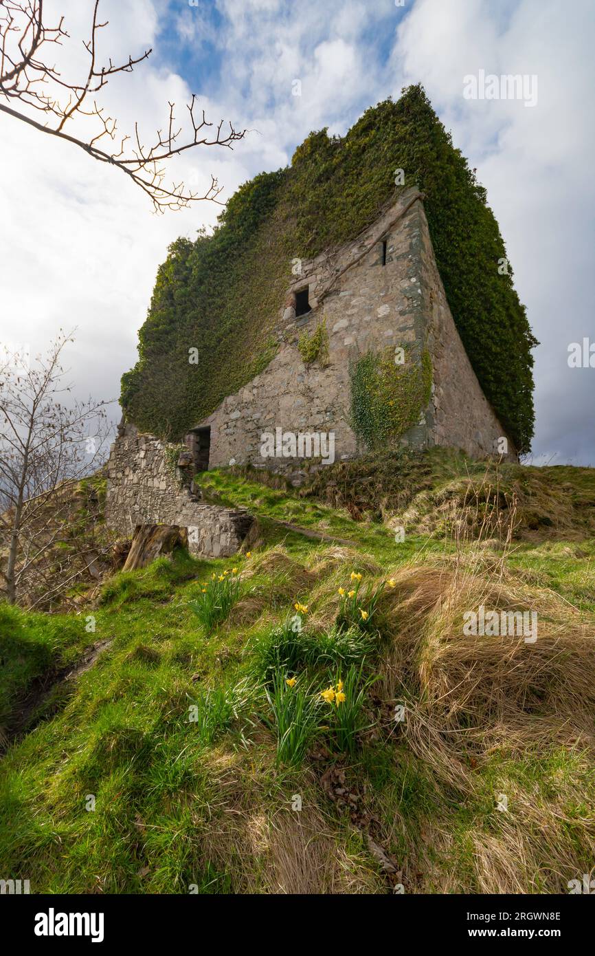 Castle Lachlan, Loch Fyne, Écosse Banque D'Images