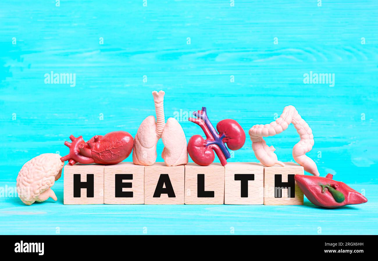 Le mot « HEALTH » est écrit avec des blocs de bois, entouré de figurines finement détaillées représentant les organes internes humains sur un fond bleu vif. Banque D'Images
