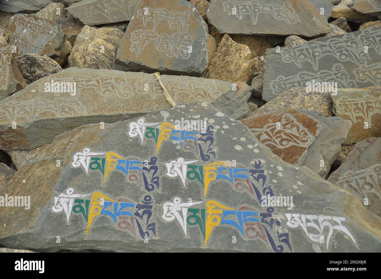 Pierres gravées avec le mantra bouddhiste Om Mani Padme Hum au Ladakh, EN INDE Banque D'Images