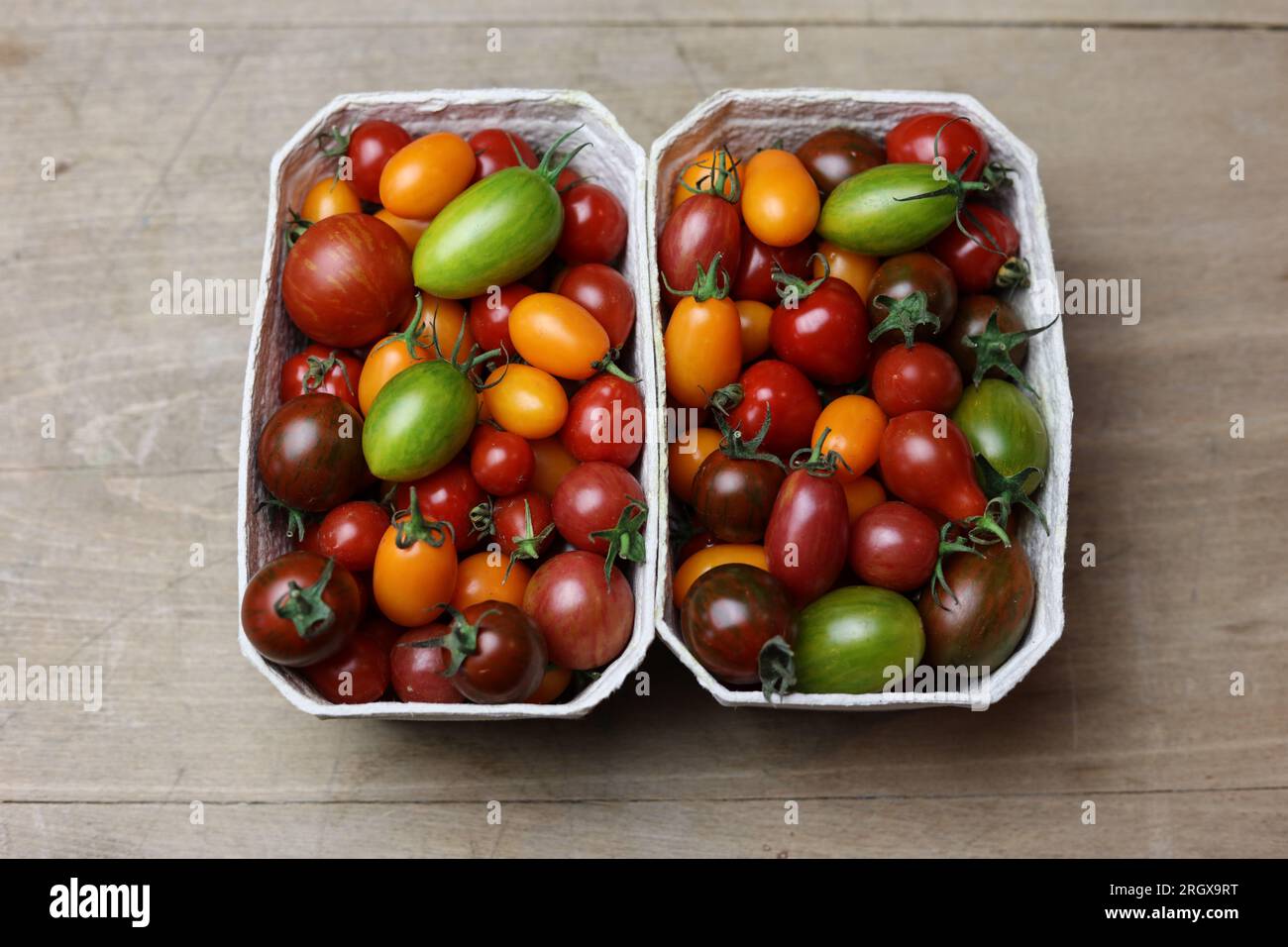 une variété de tomates fraîches multicolores sur une table en bois Banque D'Images