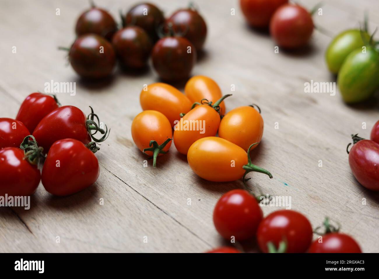 une variété de tomates fraîches multicolores sur une table en bois Banque D'Images