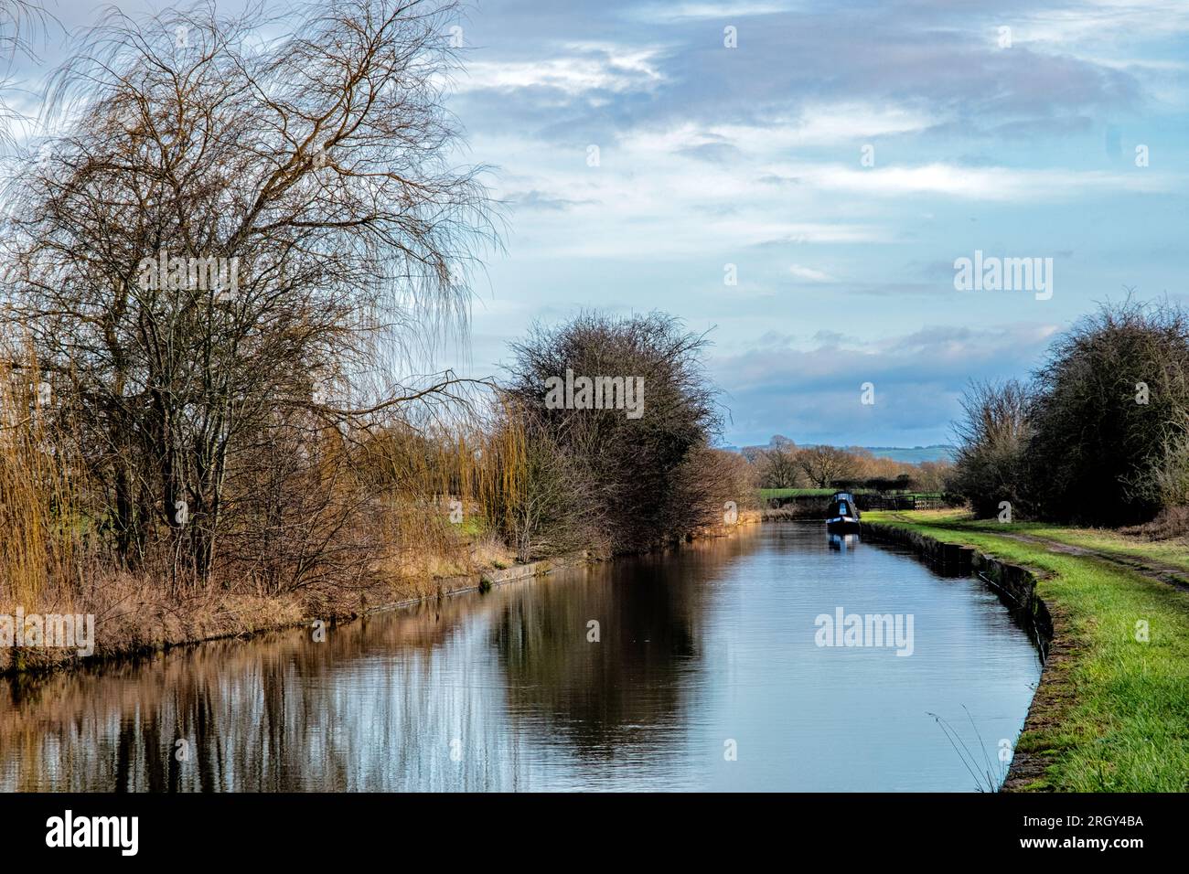 Canal Trent et Mersey près d'Elworth Cheshire UK Banque D'Images