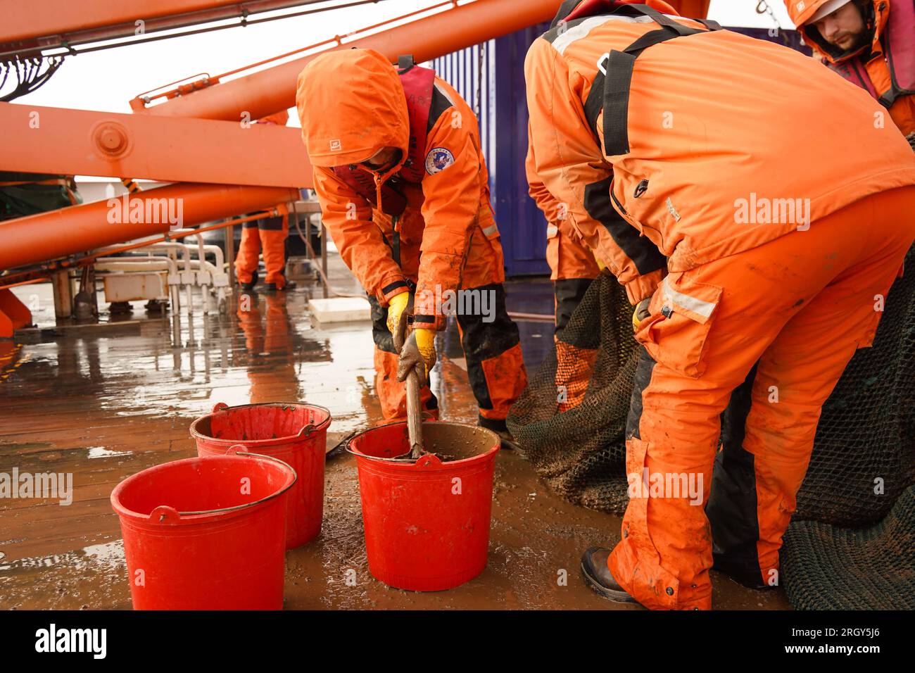 (230812) -- À BORD DE XUELONG 2, 12 août 2023 (Xinhua) -- des membres de l'équipe scientifique chinoise de la 13e expédition dans l'océan Arctique recueillent des échantillons récupérés après une opération de chalut à bord du brise-glace polaire chinois Xuelong 2, 4 août 2023. Avec l'achèvement d'une opération de collecte d'échantillons d'eau de mer, les principales tâches de la première phase de la 13e expédition scientifique chinoise dans l'océan Arctique ont toutes été achevées. L'expédition, organisée par le ministère des Richesses naturelles, a pour but de mener des recherches sur la géologie et la géophysique de la dorsale médio-océanique, ainsi que sur l'atmosphère, la glace de mer, marin Banque D'Images