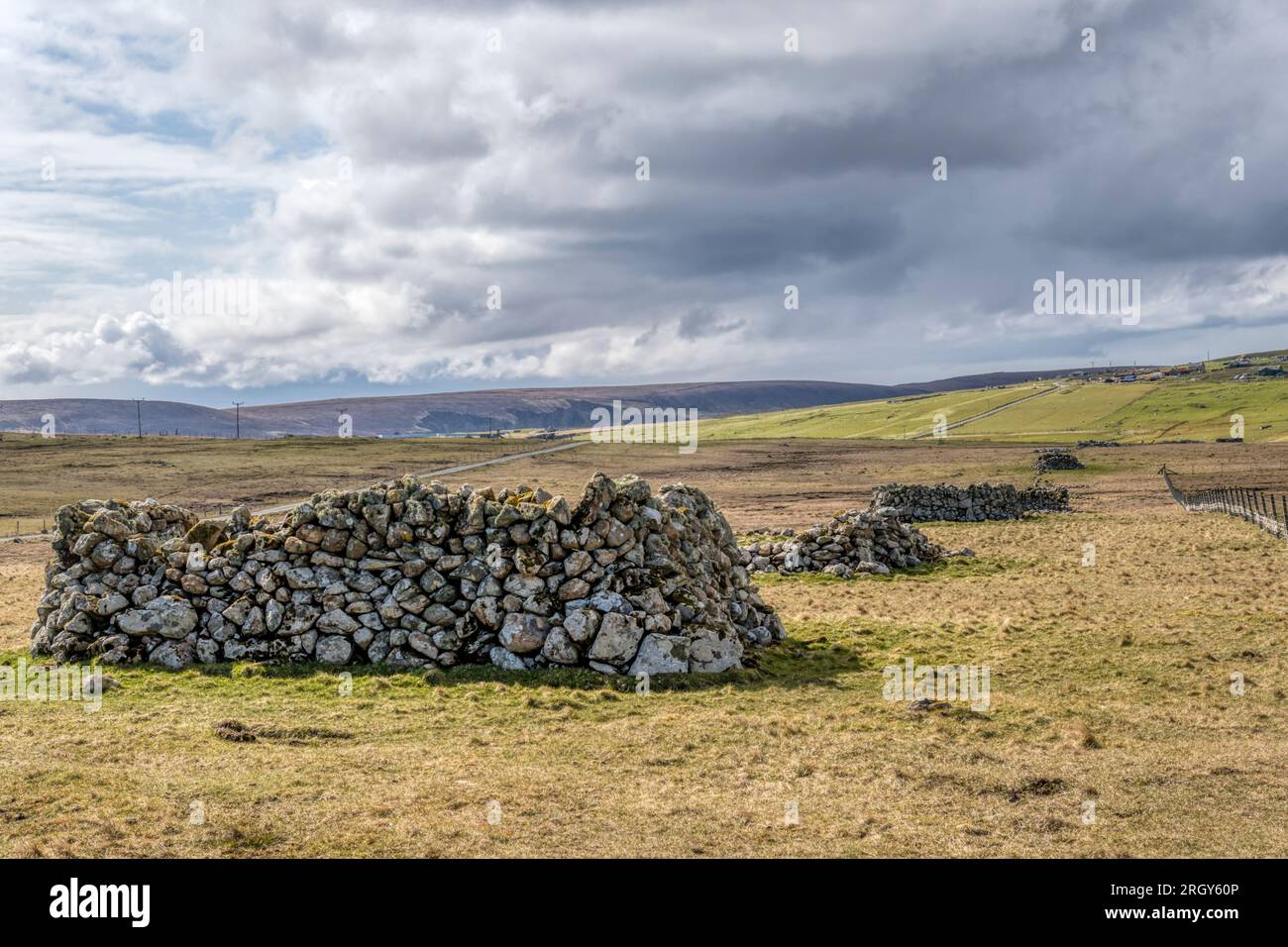 Une rangée de planticrubs ou de planticrues sur l'île Shetland de Fetlar.Abris en pierre qui ont été utilisés pour cultiver des plantes tendres, typiquement de jeunes kales. Banque D'Images