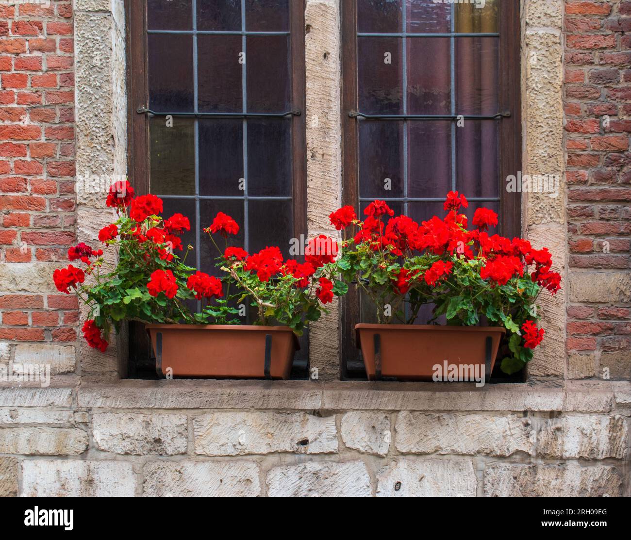 Jardinières de géraniums rouges sur le balcon d'un bâtiment en briques Banque D'Images