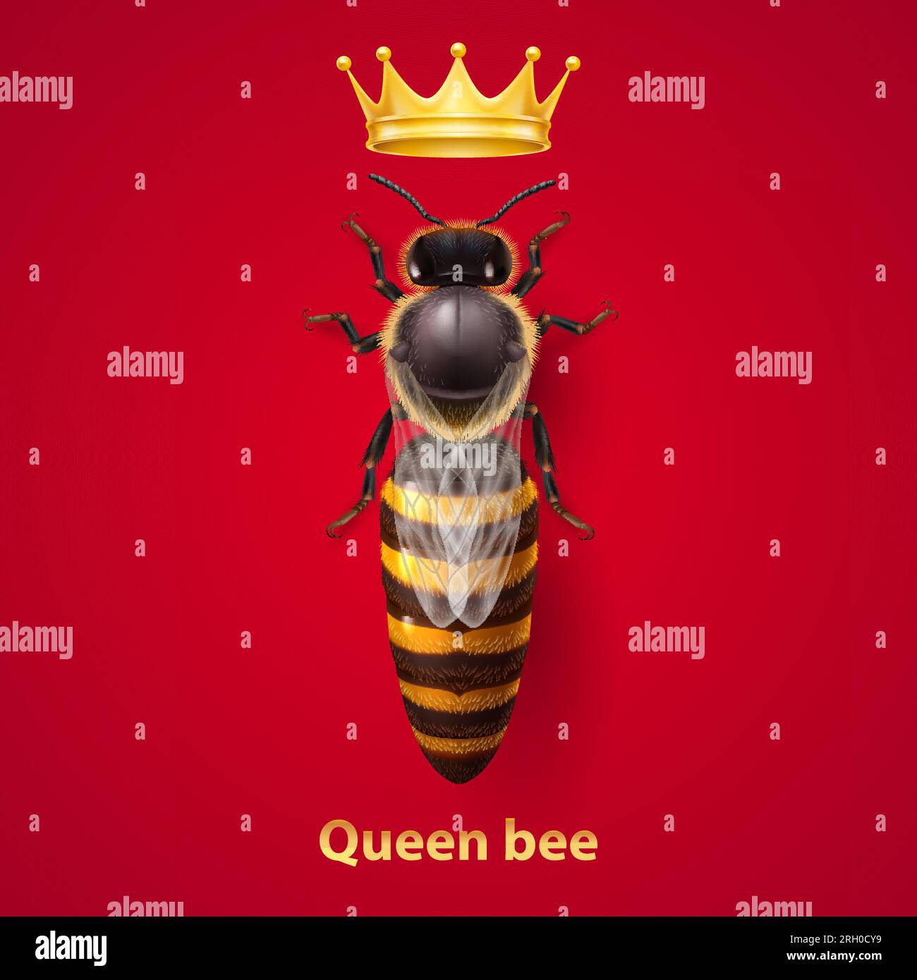 Réaliste Bee Queen Mother avec couronne d'or. Illustration détaillée d'une reine abeille sur fond rouge. Macro insecte, concept de l'industrie alimentaire, ou Beeke Illustration de Vecteur