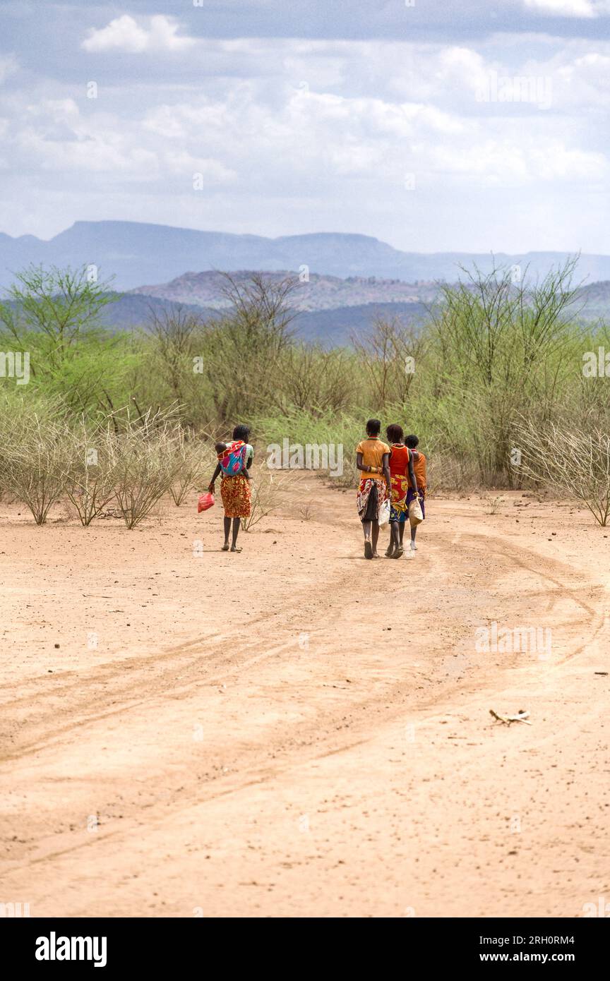 Un groupe de jeunes femmes Pokot marchent sur une piste poussiéreuse vers de grands buissons avec des collines en arrière-plan, Pokot, Kenya Banque D'Images