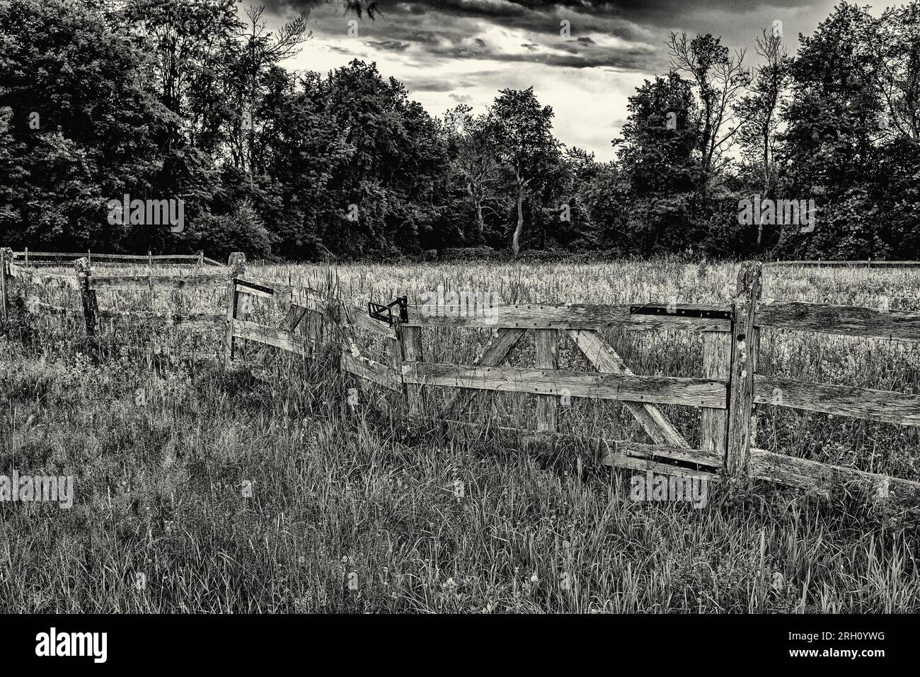 Un champ bordé par une clôture et un portail en bois Banque D'Images