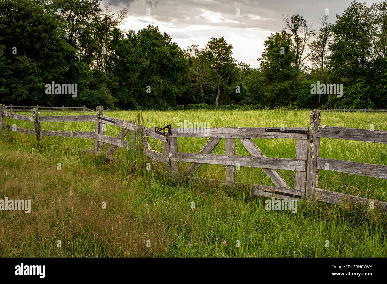 Un champ bordé par une clôture et un portail en bois Banque D'Images