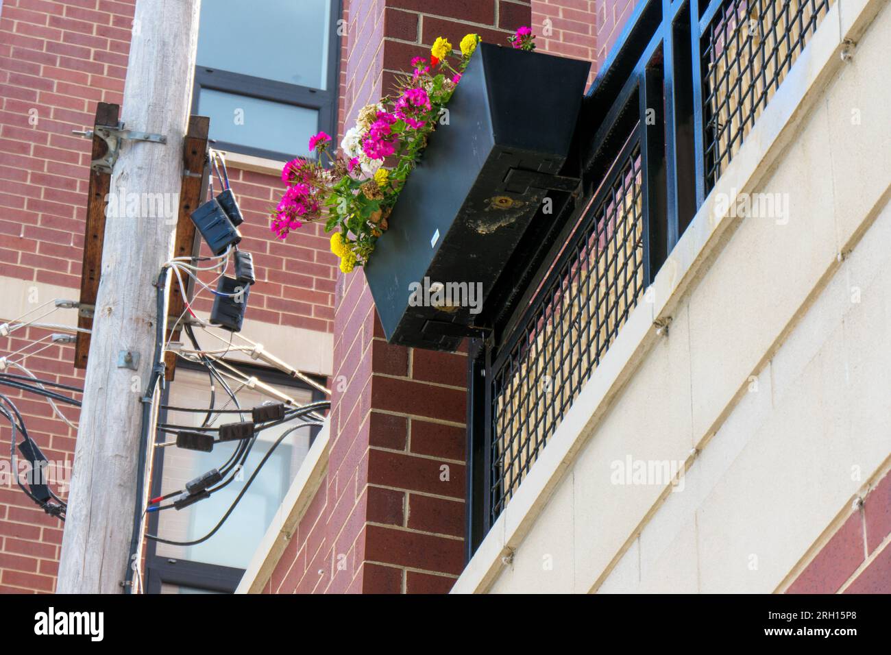 Bac à fleurs sur balustrade de balcon. Chicago, Illinois. Banque D'Images