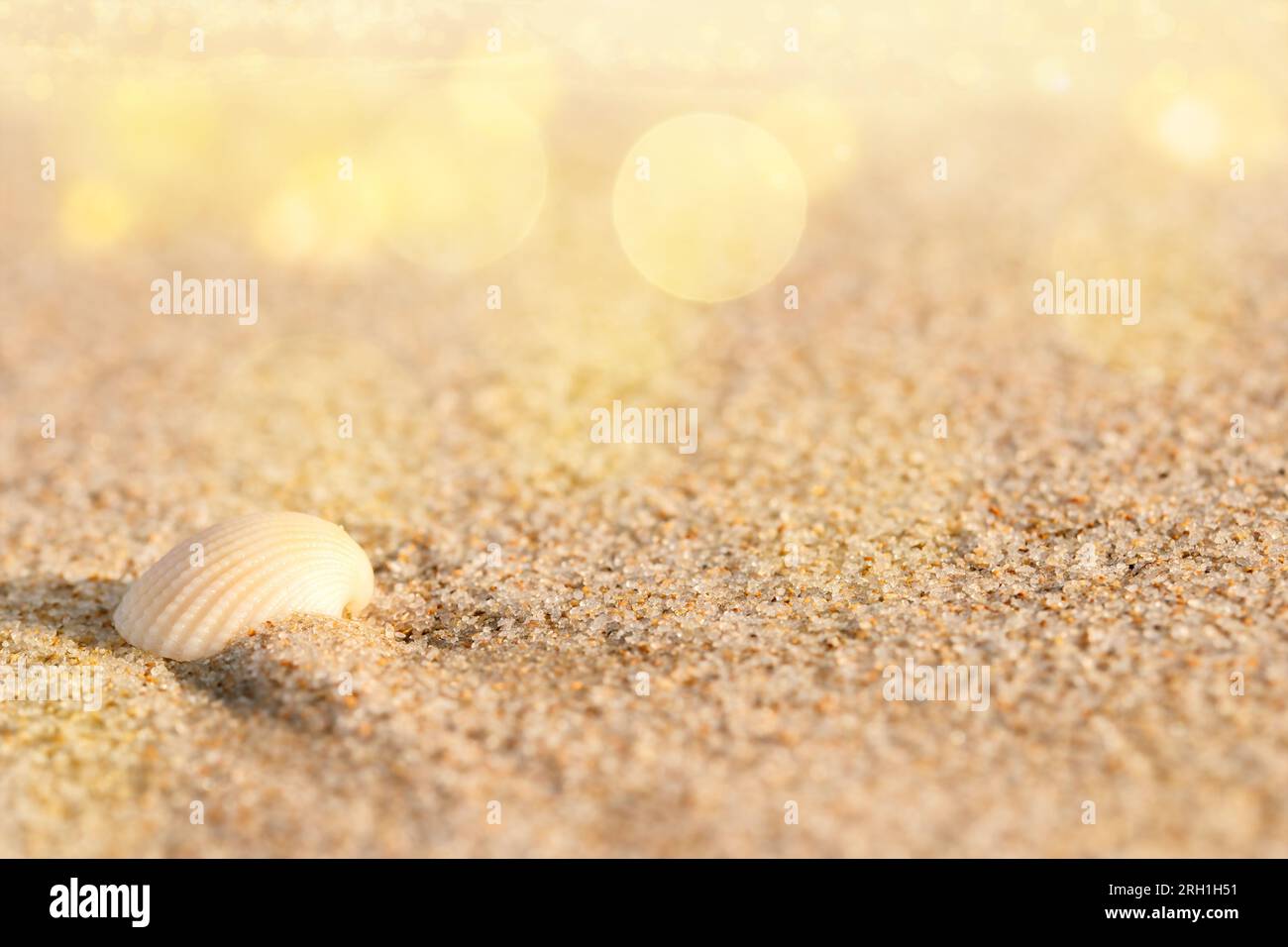 Photo d'été de sable de plage et décoration de coquille de mer. Banque D'Images