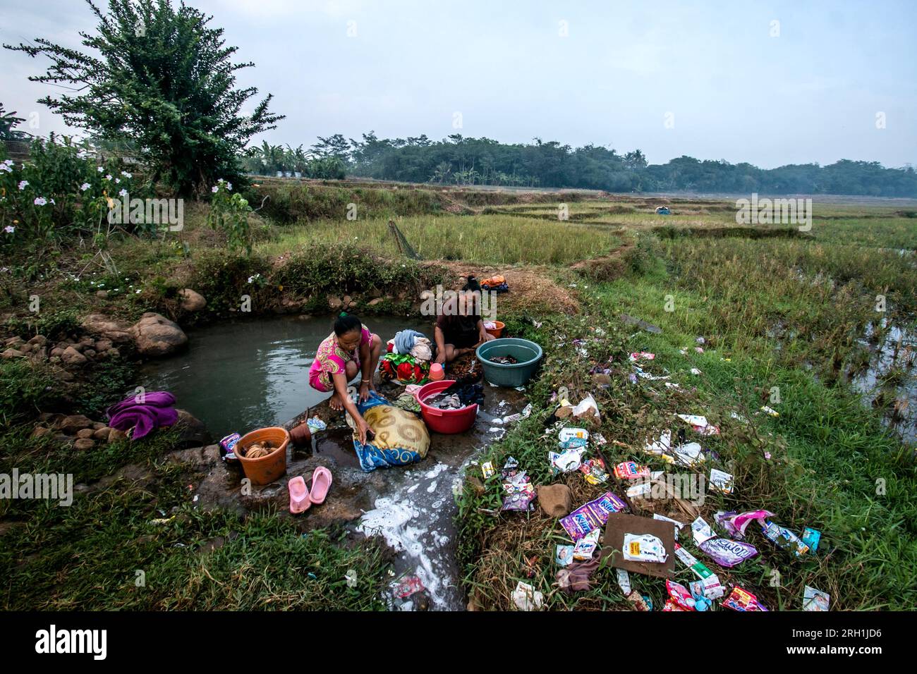 Les résidents de Bogor, Java Ouest, Indonésie, ont été forcés d'utiliser l'eau d'infiltration dans la rizière pour laver leurs vêtements le 12 août 2023 Banque D'Images
