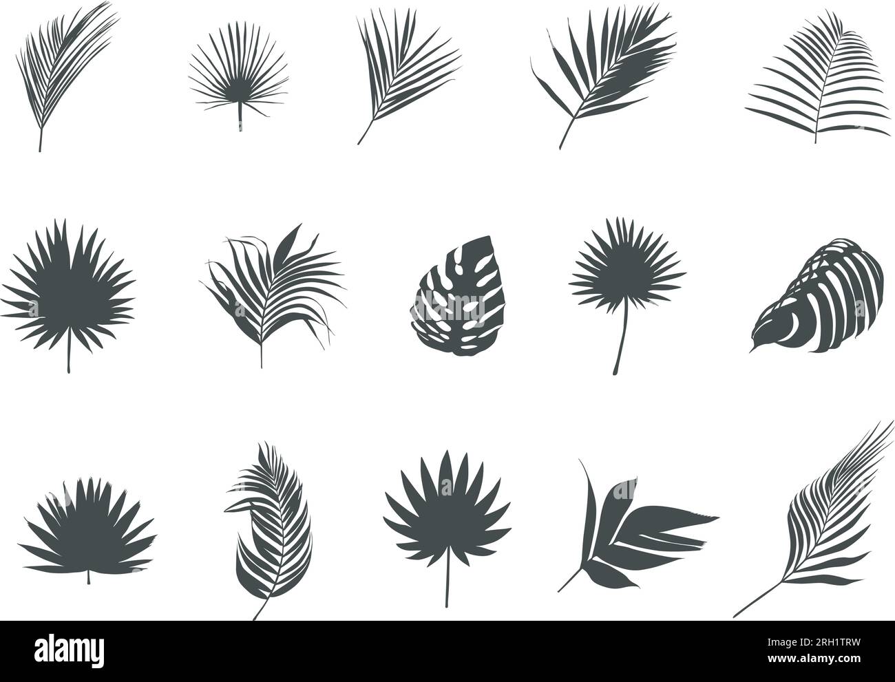 Silhouettes de feuilles de palmier, vecteur de feuilles de palmier tropical, icône de feuille, silhouette de feuille, vecteur de feuille de palmier, feuilles de palmier SVG, laisse silhouette Illustration de Vecteur