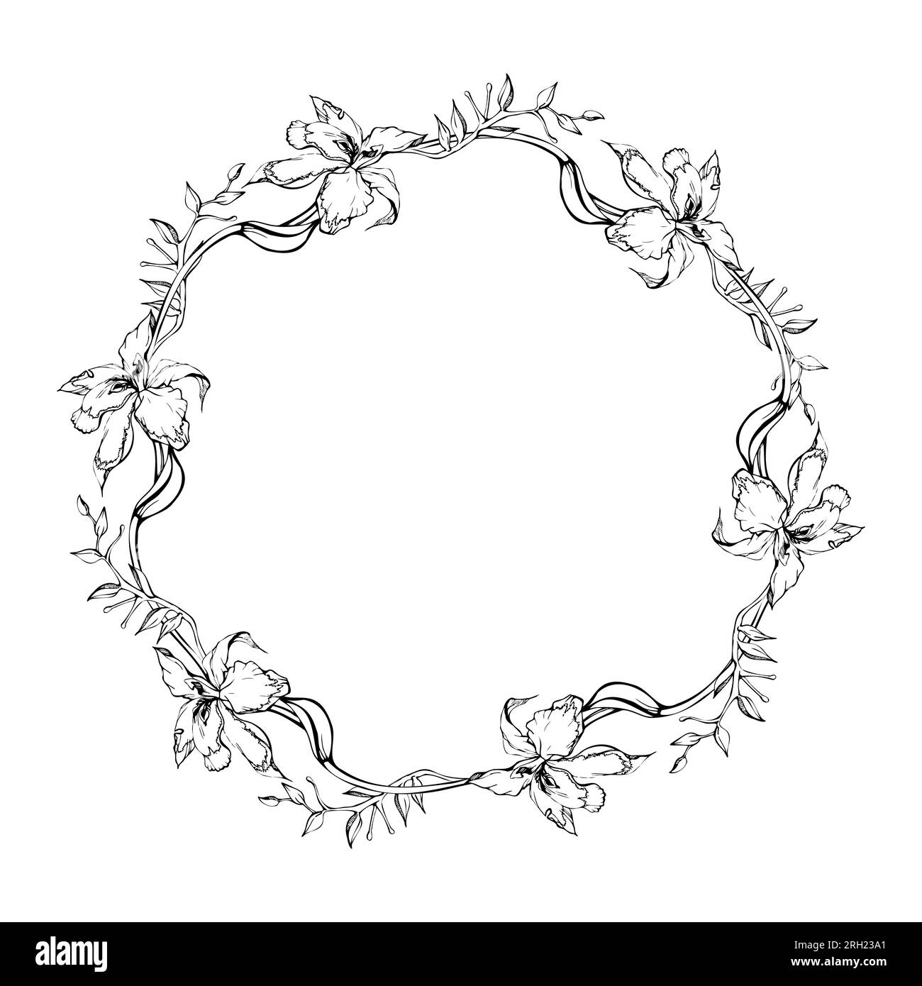 Fleurs et branches d'orchidées à encre vectorielle dessinées à la main, monochrome, contour détaillé. Composition de couronne circulaire. Isolé sur fond blanc. Conception pour Illustration de Vecteur