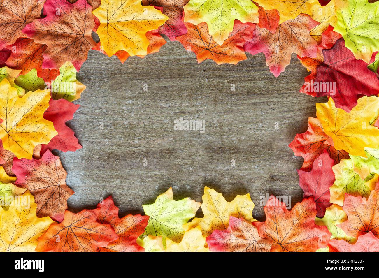 Composition automnale. Cadre en feuilles d'automne sur fond en bois. Cadre rectangulaire. Pose à plat. Espace de copie. Vue de dessus Banque D'Images