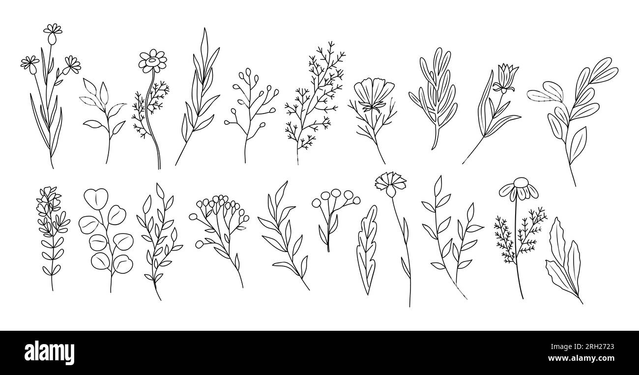 Ensemble de vecteur d'art de ligne de fleurs et de plantes sauvages minuscules Illustration de Vecteur