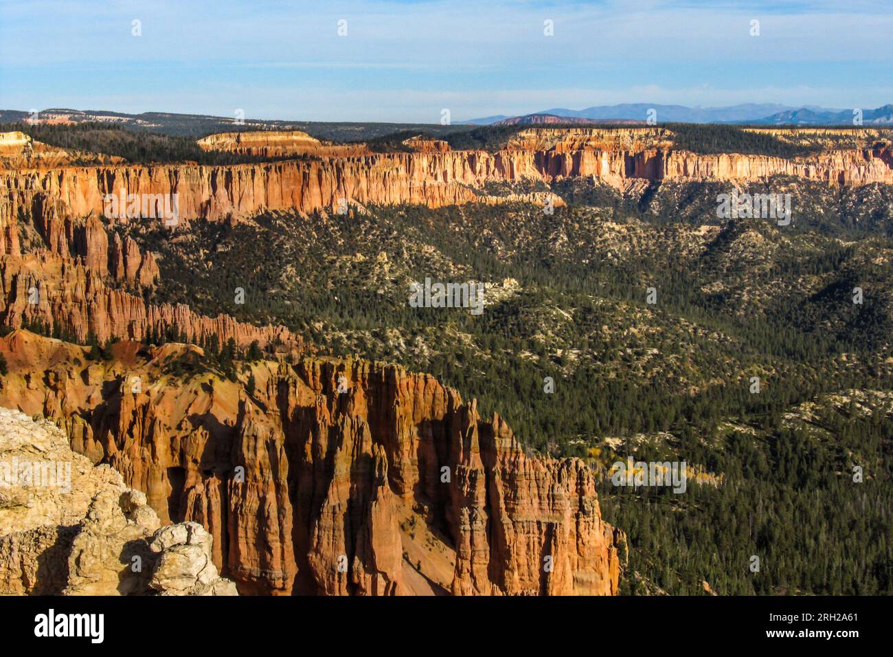 Vue de l'un des amphithéâtres remplis de hoodoo du parc national de Bryce Canyon, vu de la pointe arc-en-ciel par une journée claire et ensoleillée. Banque D'Images