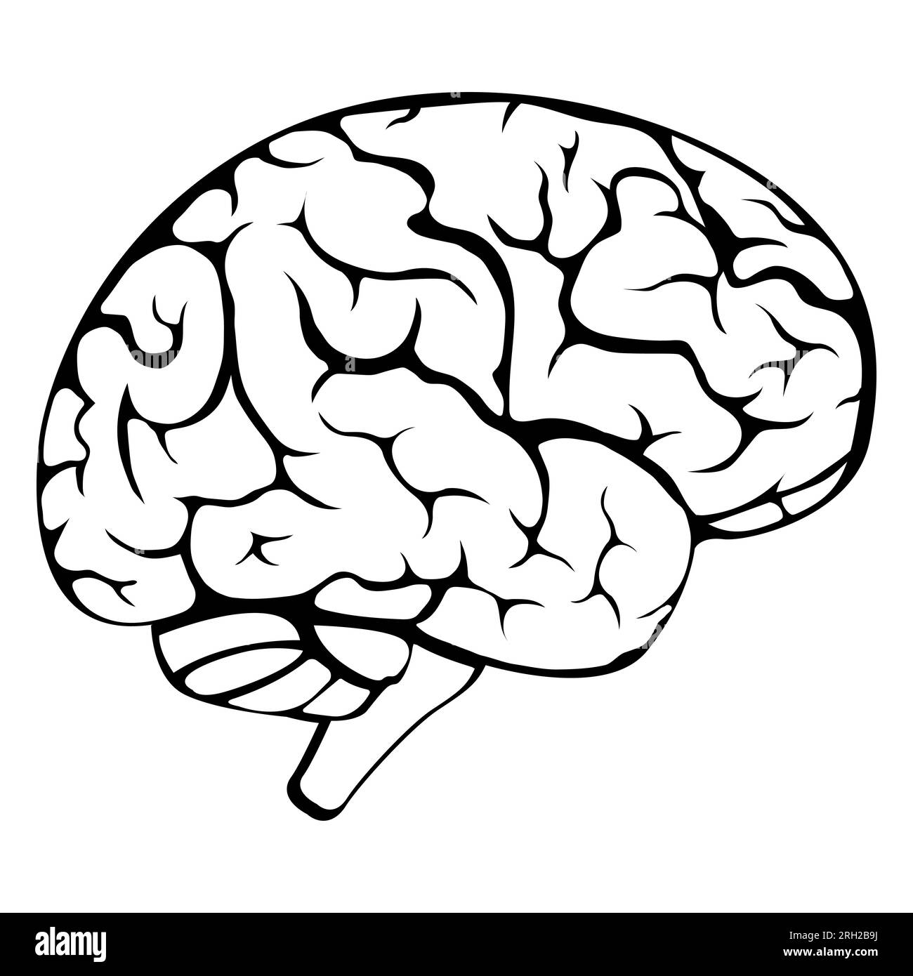 Illustration d'icône de vecteur médical de cerveau humain isolé sur fond blanc. Illustration de Vecteur