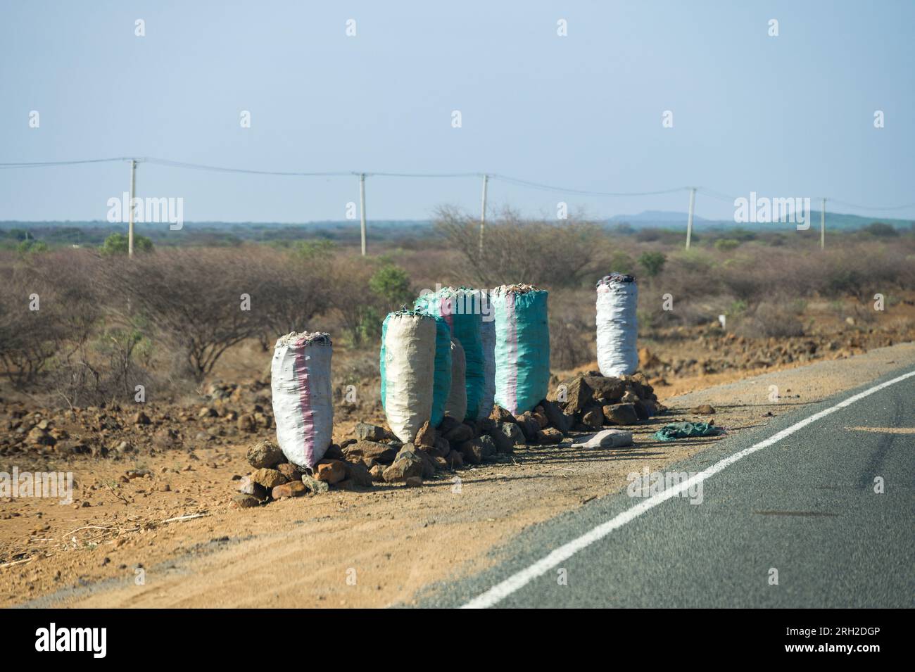 Grands sacs de charbon alignés le long du bord de la route à vendre, Kenya Banque D'Images