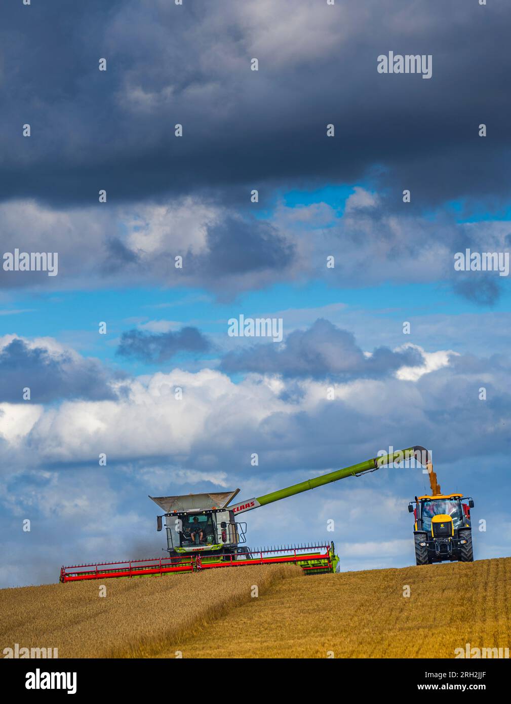 Une moissonneuse-batteuse travaillant dans un champ de blé pour récolter le maïs sous un ciel bleu orageux un jour d'été au Royaume-Uni Banque D'Images