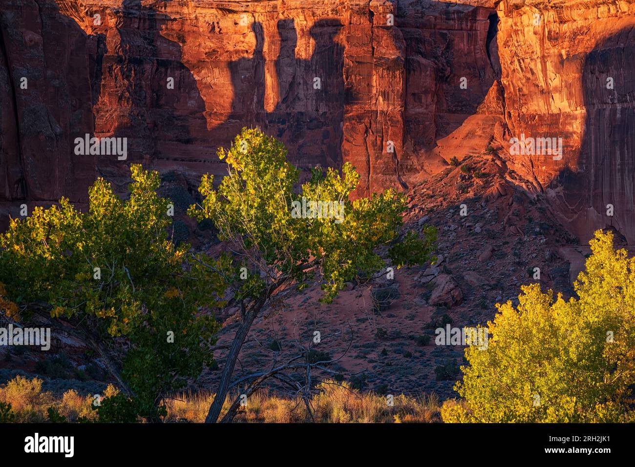 Ombre de la formation rocheuse des trois commérages au lever du soleil dans le parc national des Arches à l'extérieur de Moab, Utah Banque D'Images
