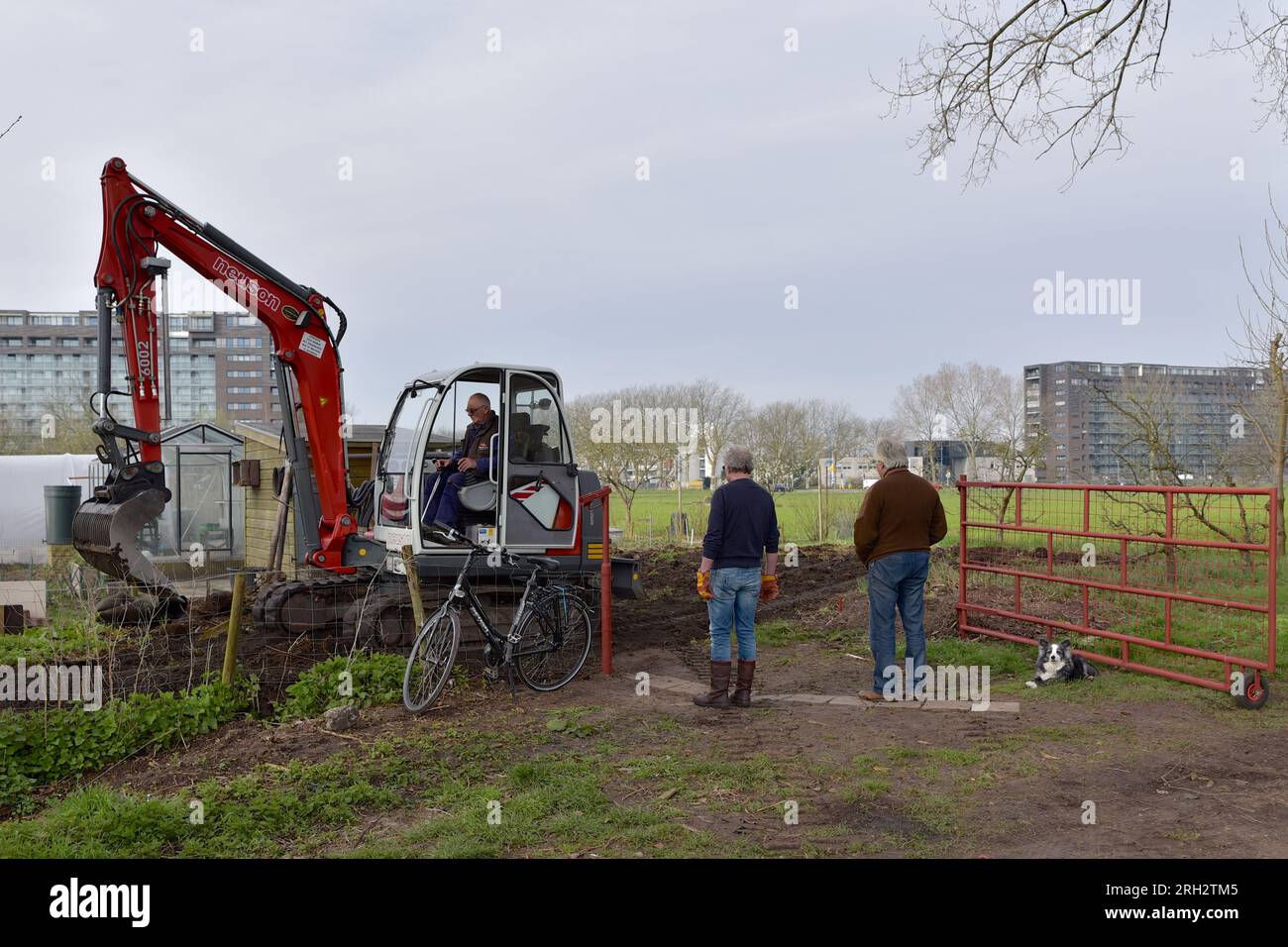 Une petite machine de creusage retourne le sol d'un jardin de lotissement, deux hommes et un chien de garde Banque D'Images
