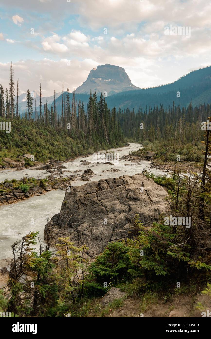 Vues de la rivière Kicking Horse et des montagnes Rocheuses au-delà en Colombie-Britannique Canada Banque D'Images