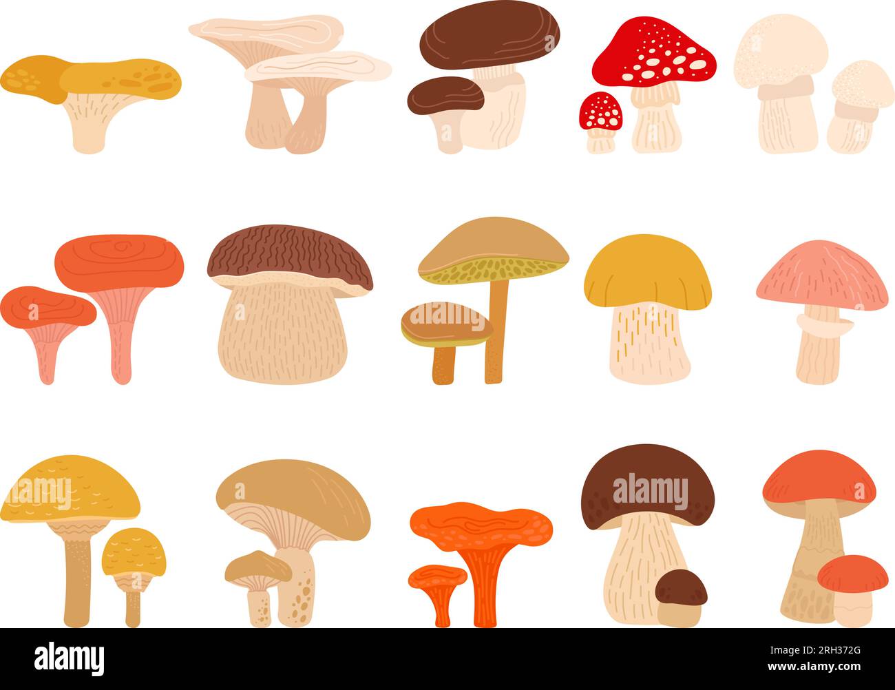 Ensemble de champignons forestiers de dessin animé. Champignon de tabouret, chanterelle, boletus et champignon. Automne abstrait forêt plantes sauvages décent clipart vecteur Illustration de Vecteur