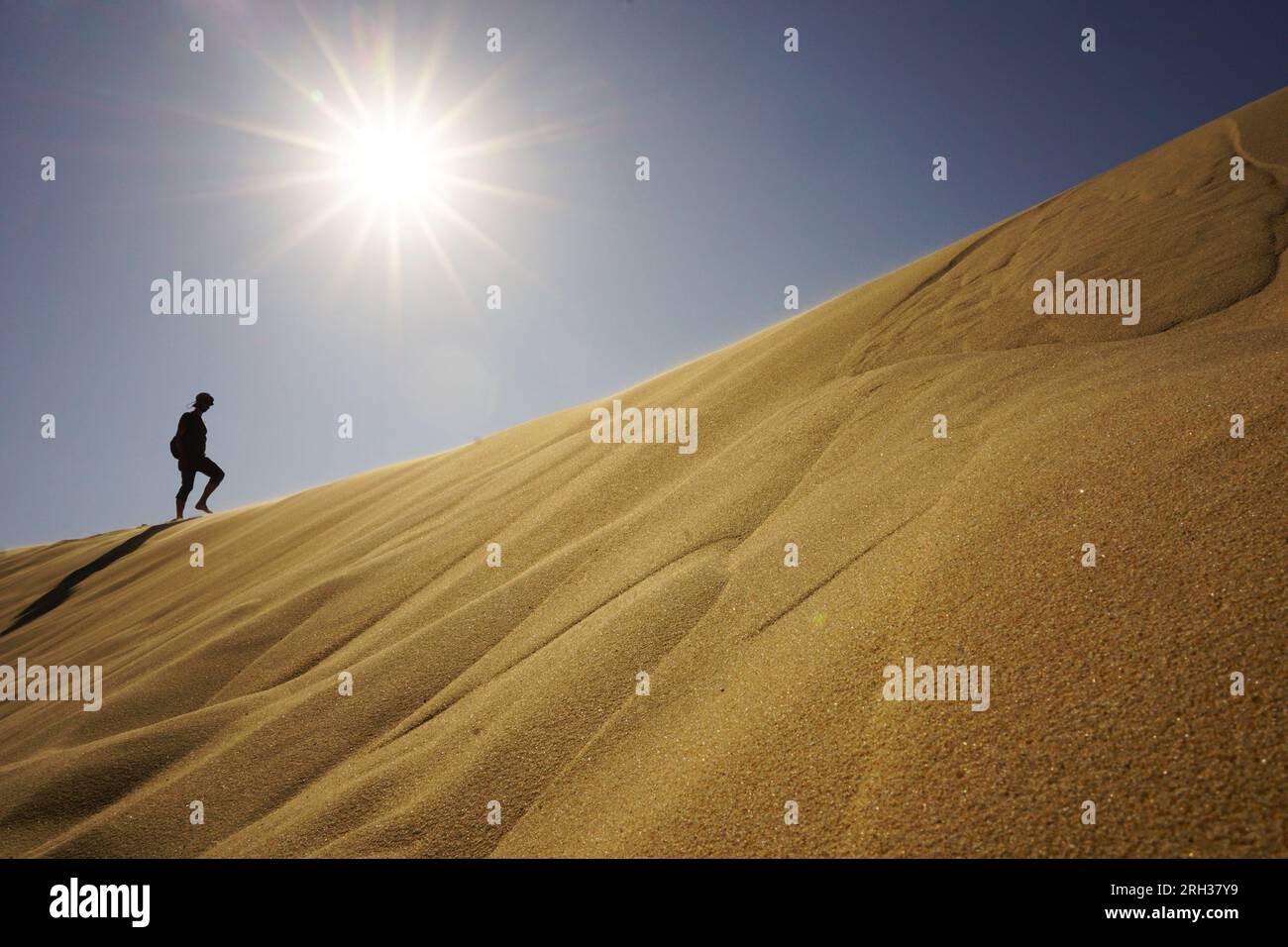un homme marche sur le sable doré sous le beau soleil Banque D'Images