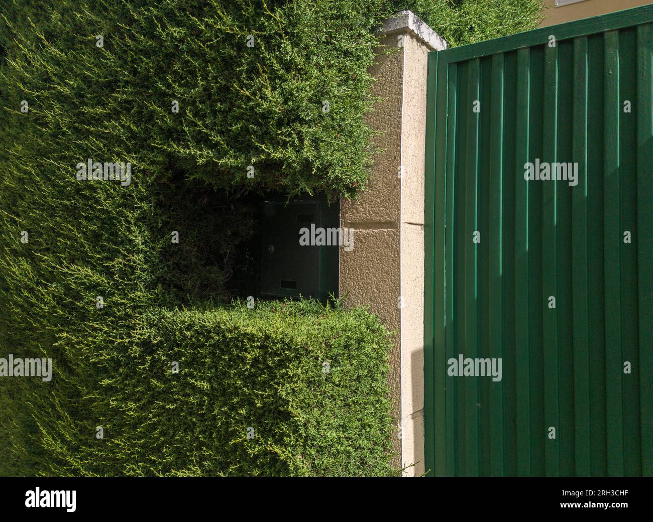 Boîte aux lettres extérieure encastrée par une haie épaisse. Concept de jardin domestique Banque D'Images