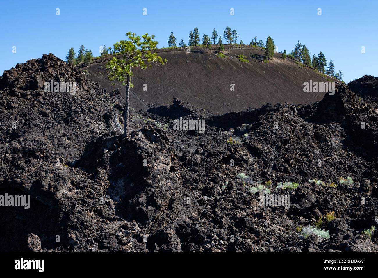 Le cône de cendre de Lava Butte s'élève au-dessus du champ de lave au Newberry Volcanic National Monument. Banque D'Images