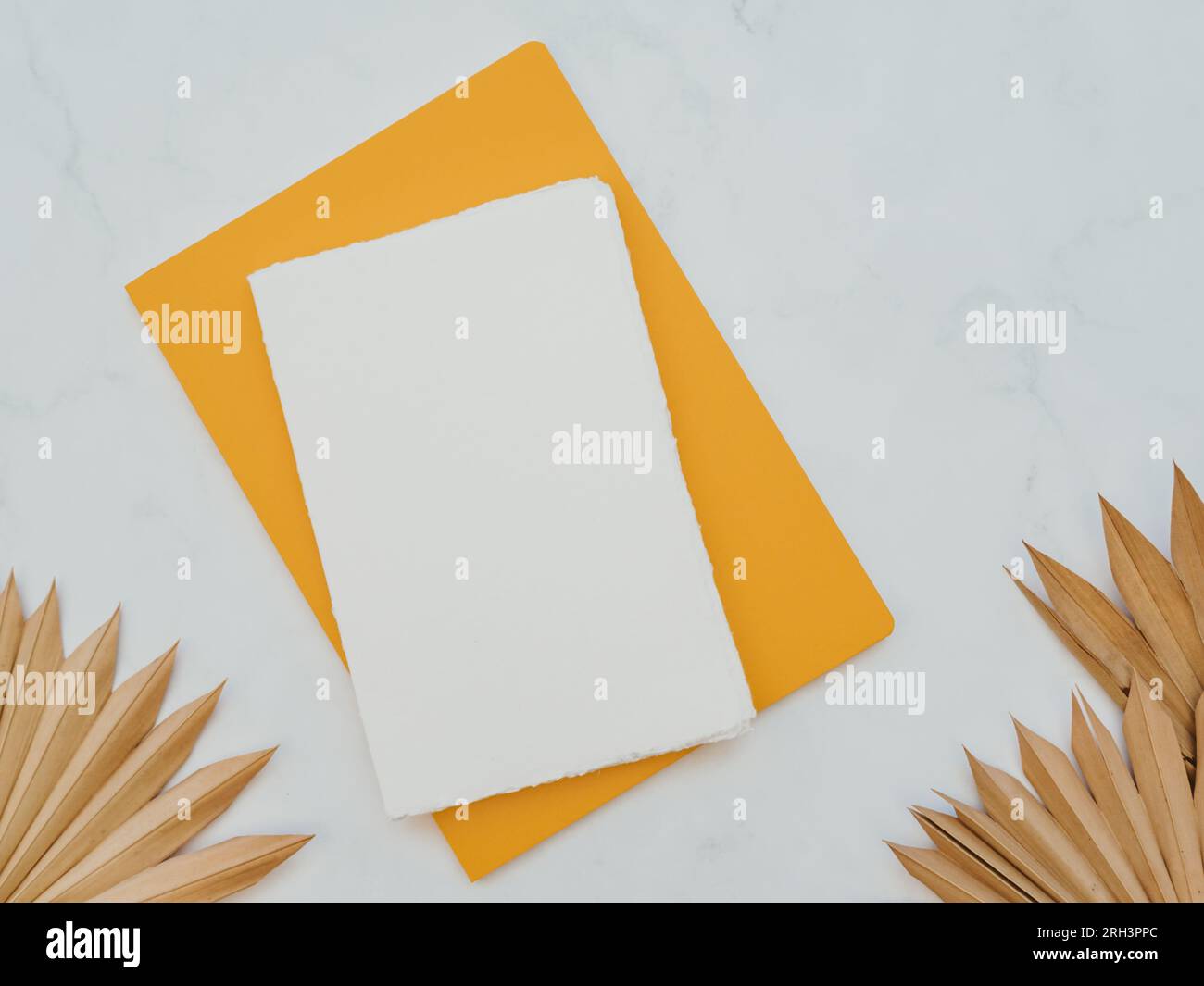 Couche plate de feuilles de palmier tropical en forme d'éventail séchées et blocs-notes jaunes et blancs sur fond blanc. Vue de dessus. Espace de copie Banque D'Images