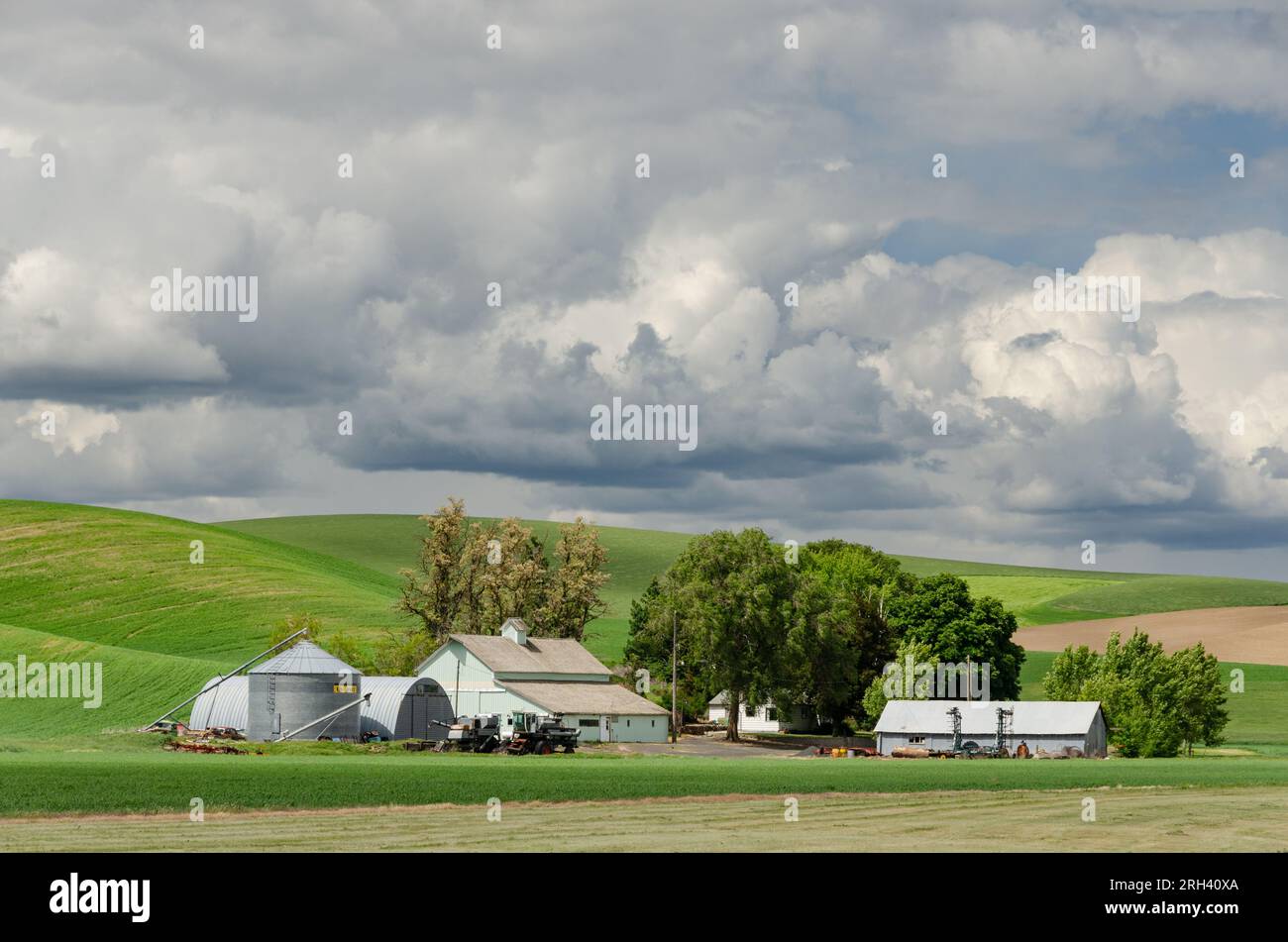 Petite ferme et champs environnants à la fin du printemps. Comté de Whitman, Washington, États-Unis. Banque D'Images