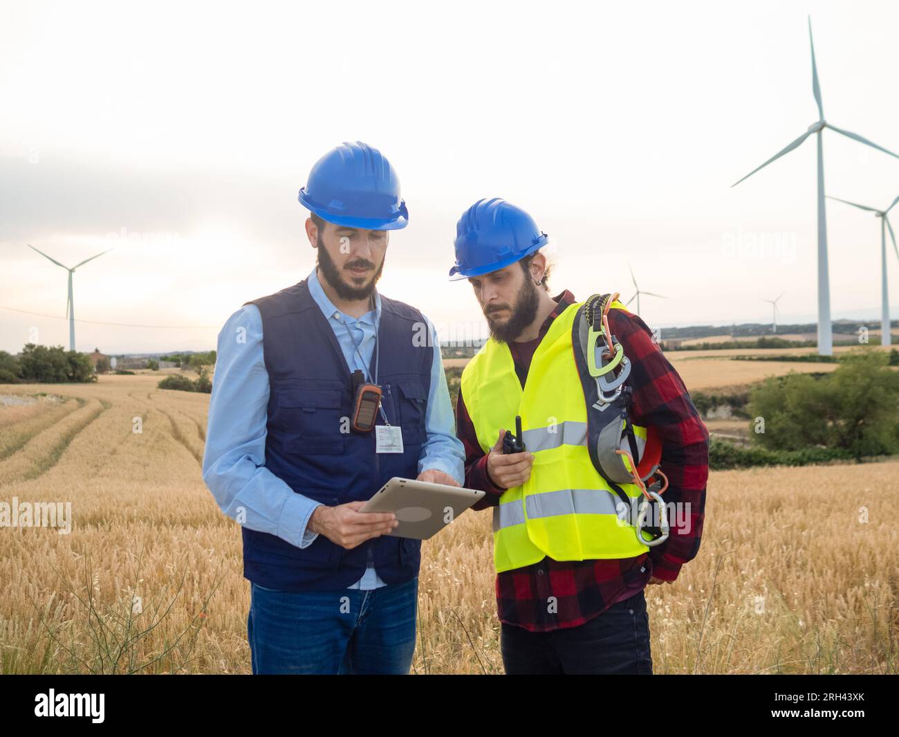 Deux ingénieurs masculins travaillent et partagent des idées avec une tablette dans le domaine des éoliennes Banque D'Images